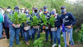 Miniatura: Impulsa Gobierno de Oaxaca acciones de conservación de las Áreas Naturales Protegidas