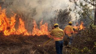 Miniatura: Implementa Coesfo acciones de atención inmediata a incendios forestales