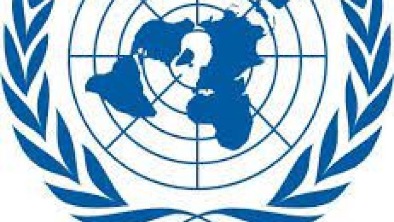 La Asamblea de la ONU aprobó la suspensión de Rusia como miembro del Consejo de DDHH tras la masacre de Bucha: así votó cada país