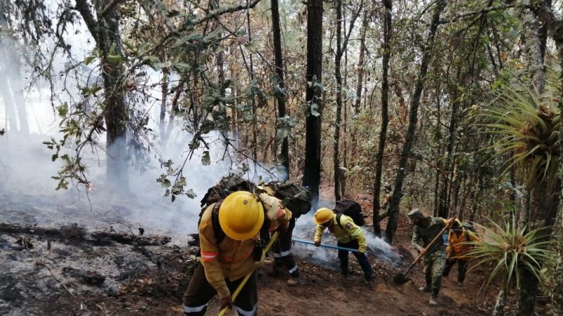 Implementa Coesfo acciones de atención inmediata a incendios forestales