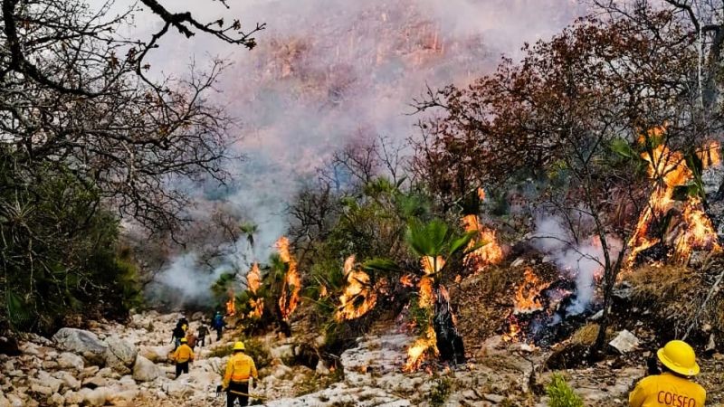 Controla Coesfo incendio en Magdalena Jaltepec