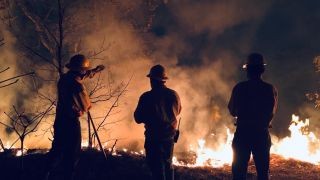 Miniatura: Implementa Coesfo acciones de atención inmediata a incendios forestales