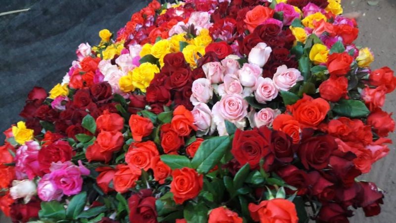 Celebra al amor y enamórate de Oaxaca