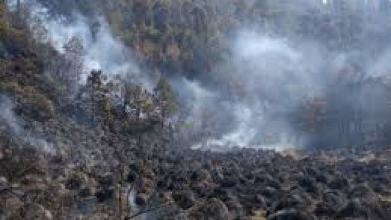 Situación de incendios forestales en México al 13 de marzo