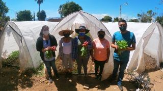 Miniatura: Impulsa Gobierno de Oaxaca programas para fortalecer al campo oaxaqueño