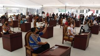 Miniatura: El medio ambiente ya es sujeto de derecho en Oaxaca