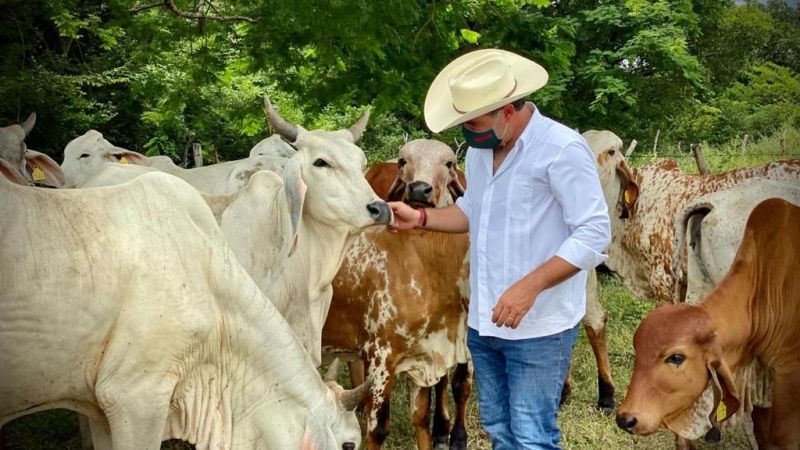 Instalan Comité de movilidad y salud animal en Oaxaca