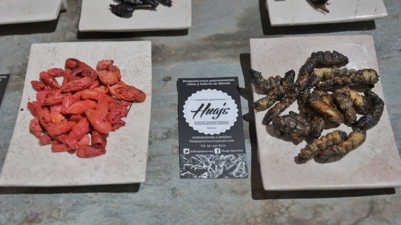 Insectos, ingrediente prehispánico que da sabor a la cocina de Oaxaca