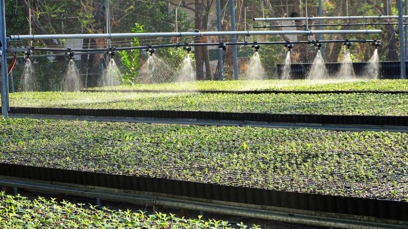 CECyTEO y COESFO reactivan el vivero del Plantel 14 “El Camarón”