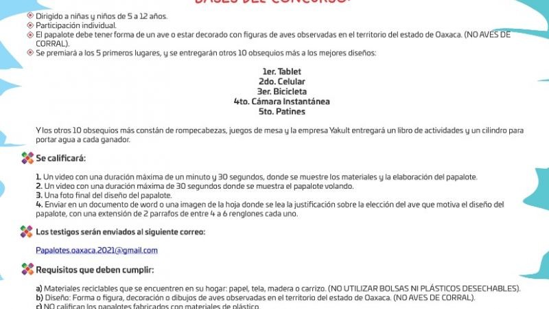 Niñez de Oaxaca echará a volar su imaginación en el concurso de papalotes de la Semaedeso