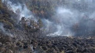 Miniatura: Situación de incendios forestales en México al 13 de marzo